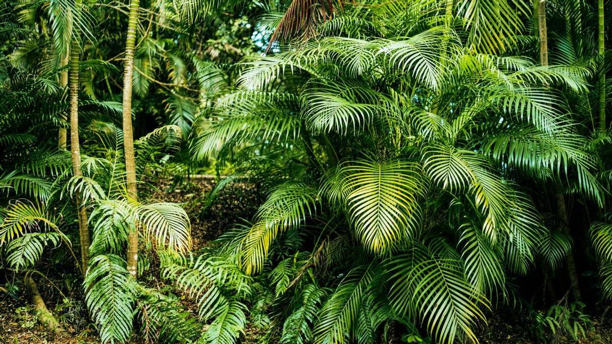 芬兰外贸数据出炉，出口总额同比增3.5%！ 