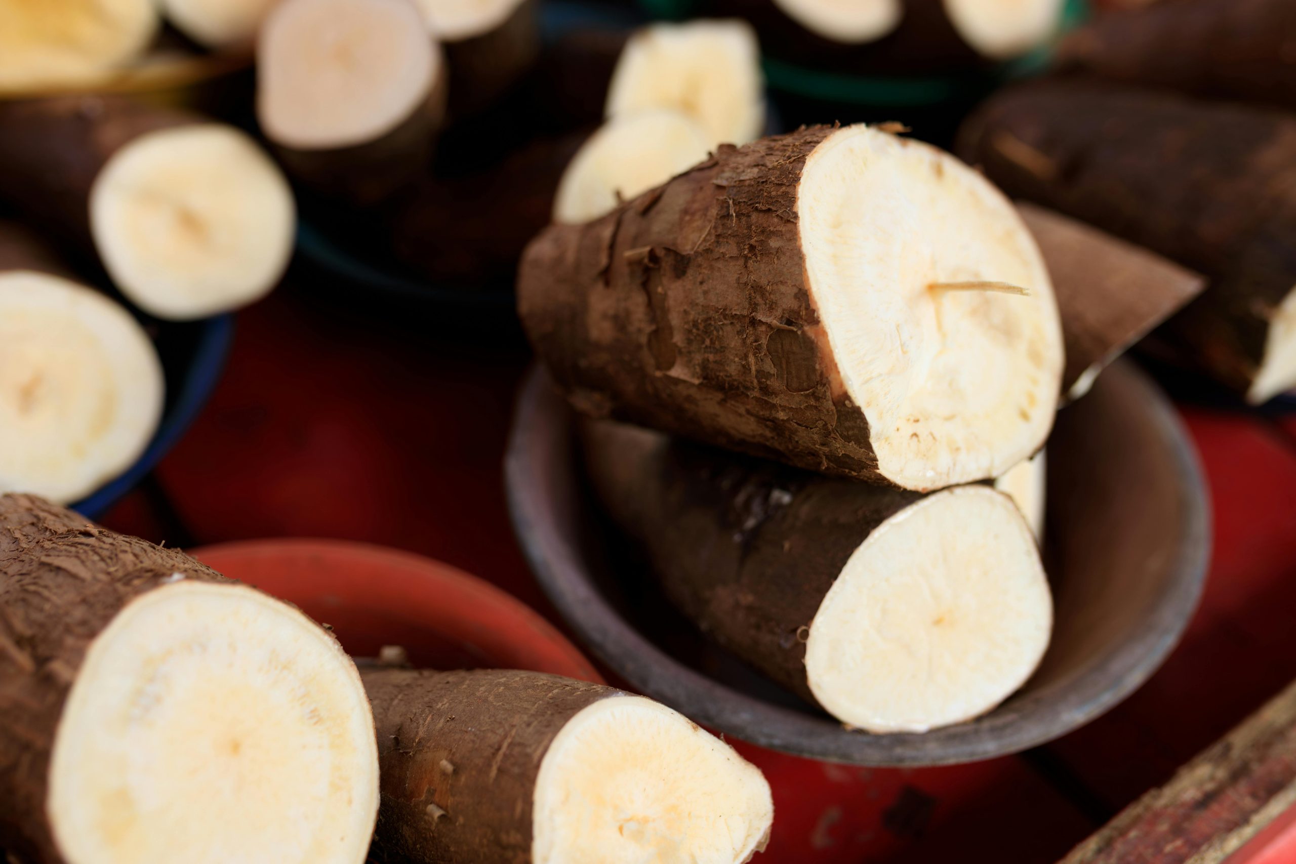 2025年越南将跻身世界第三大木薯出口国！